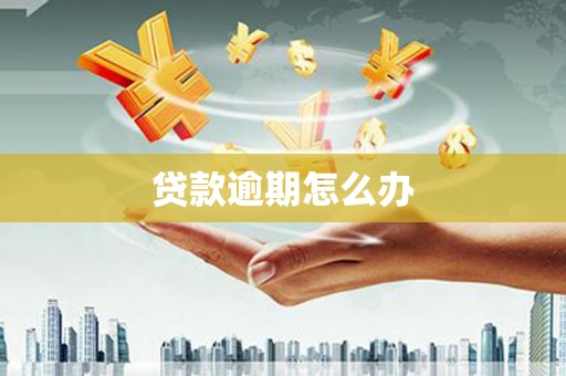 钟楼贷款逾期怎么办