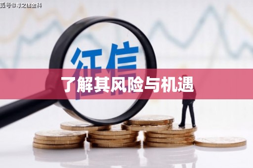 钟楼了解其风险与机遇