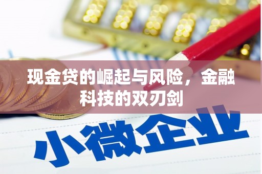 钟楼现金贷的崛起与风险，金融科技的双刃剑