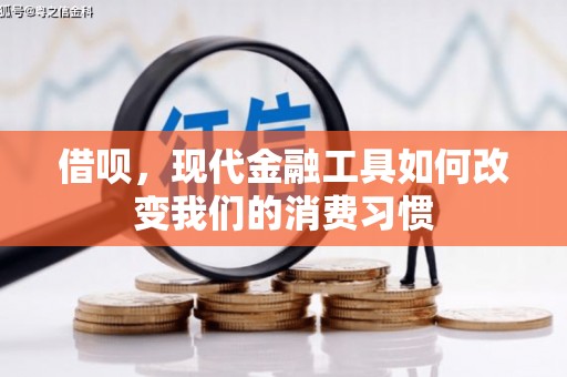 钟楼借呗，现代金融工具如何改变我们的消费习惯