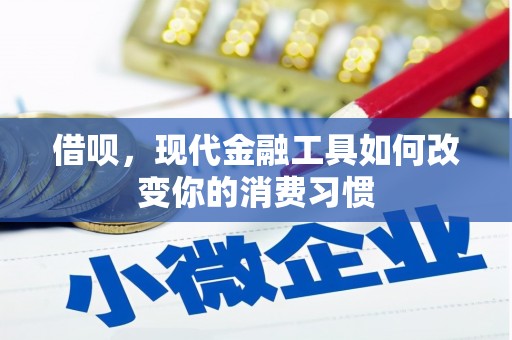 钟楼借呗，现代金融工具如何改变你的消费习惯