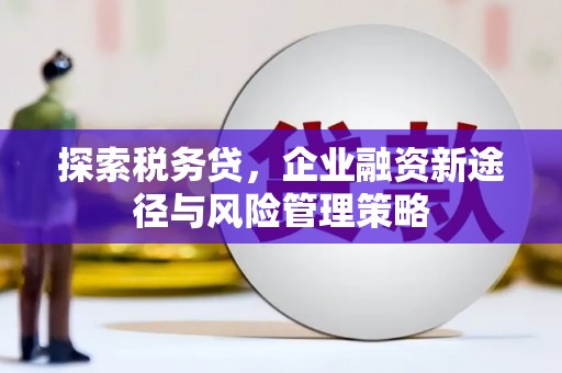 钟楼探索税务贷，企业融资新途径与风险管理策略