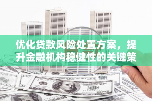钟楼优化贷款风险处置方案，提升金融机构稳健性的关键策略