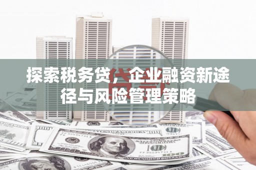 钟楼探索税务贷，企业融资新途径与风险管理策略