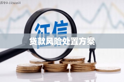 钟楼贷款风险处置方案