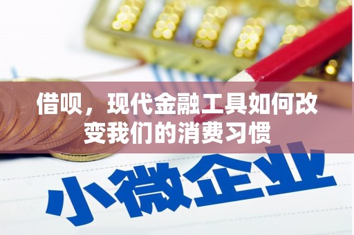 钟楼借呗，现代金融工具如何改变我们的消费习惯
