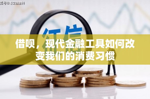 钟楼借呗，现代金融工具如何改变我们的消费习惯