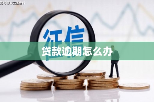 钟楼贷款逾期怎么办