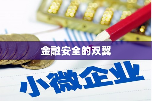 钟楼金融安全的双翼