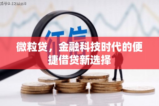 钟楼微粒贷，金融科技时代的便捷借贷新选择